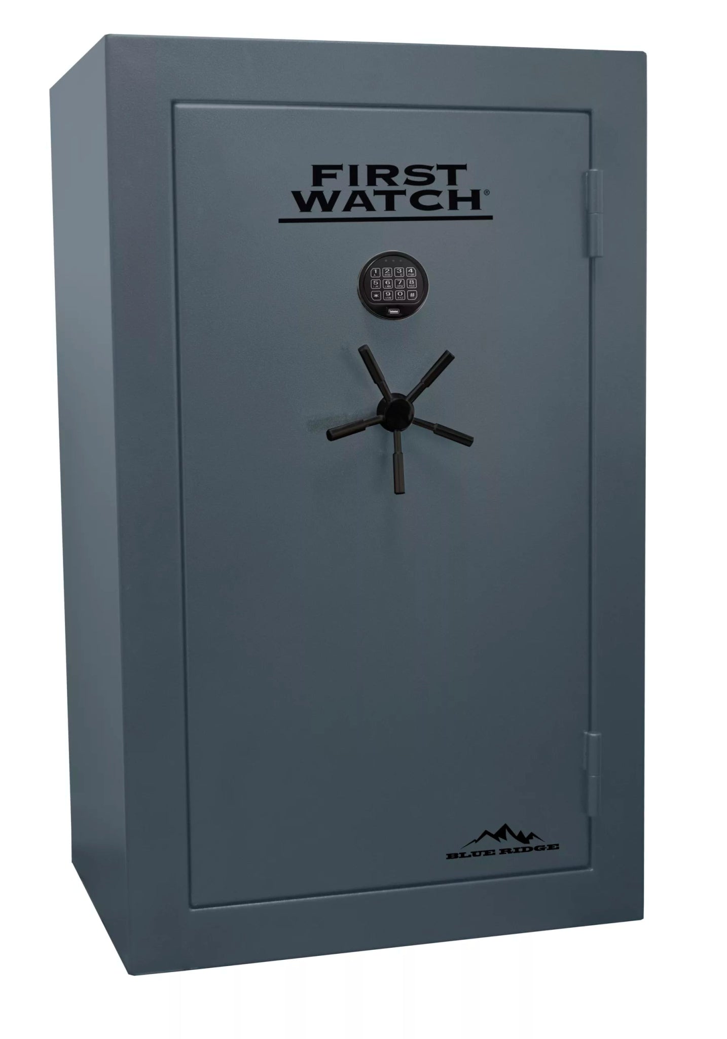 First Watch Blue Ridge Safes - Securability