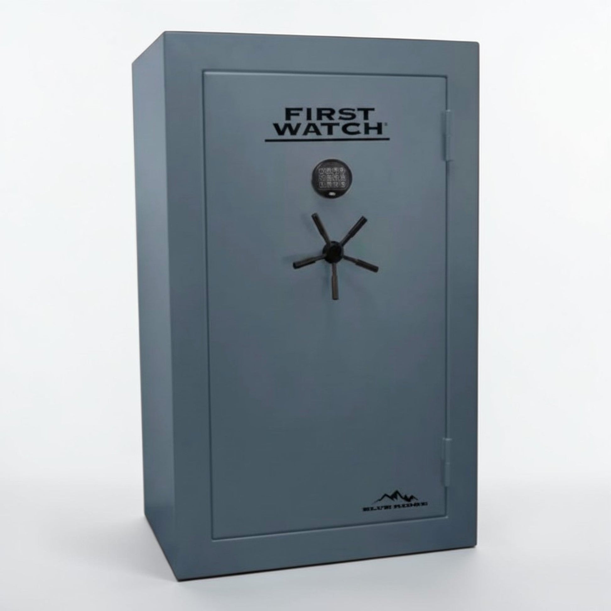 First Watch Blue Ridge Safes - Fire safe 48 Gun