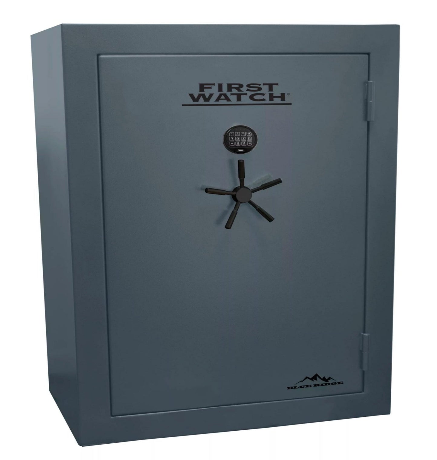 First Watch Blue Ridge Safes - Securability